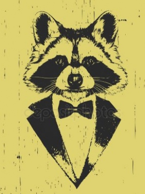 Vorlage für Rocket Raccoon